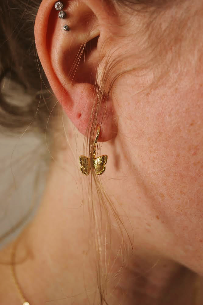 Hooped Butterfly Earrings