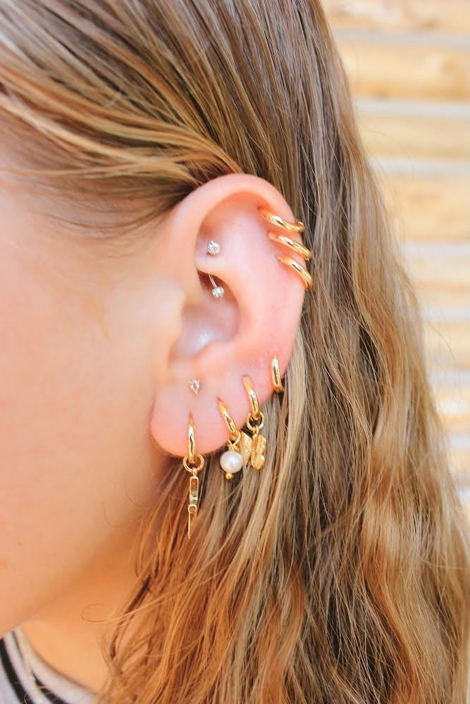 Hooped Earrings